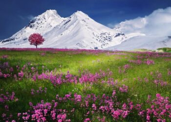 What is inspiring about traveling?