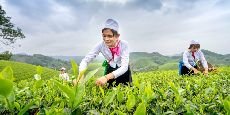 What are some examples of global food trends?