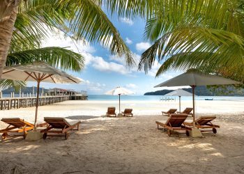 Maximizing Your Travel Experience: Insider Tips from Frequent Flyers and Experienced Backpackers